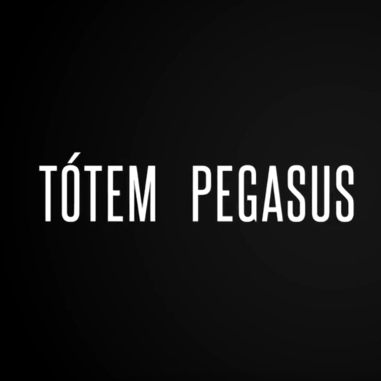 Pegasus 10 mm - Ligero y Resistente