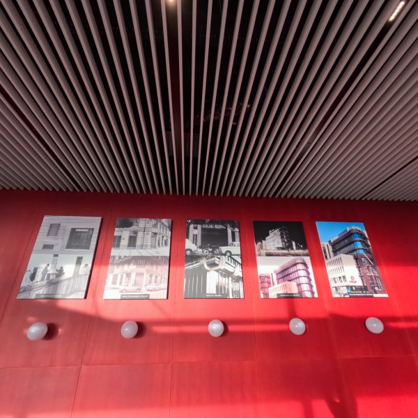 Lienzo con Bastidor de Madera