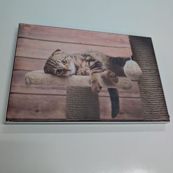 Perfil de 19 mm para Decoración con Tela y Sistema de Silicona 