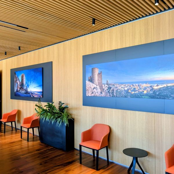 DIBÓN + Vinilo Polimérico + Laminado Polimérico 