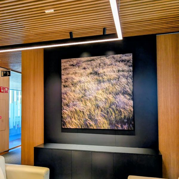 Dibón blanco 3 mm con impresión directa a una cara para decoración mural interior