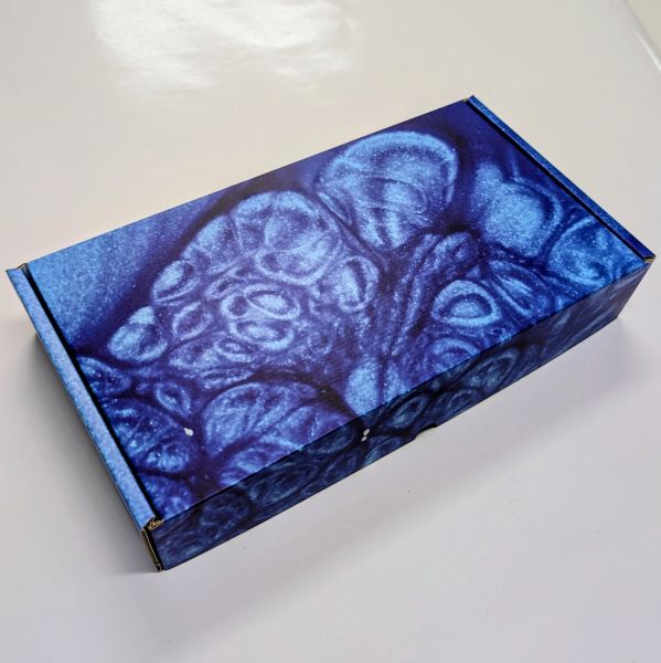Caja de Cartón Personalizada para Packaging