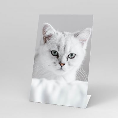 Display A4 Impreso en Metacrilato Blanco 3 mm con Base (mínimo 4 unds)