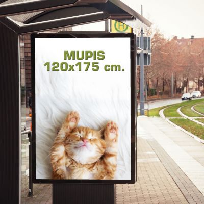 Papel Mupis 120x175 cm
