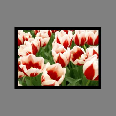 Papel Fotográfico Satín 275 g | Calidad Profesional