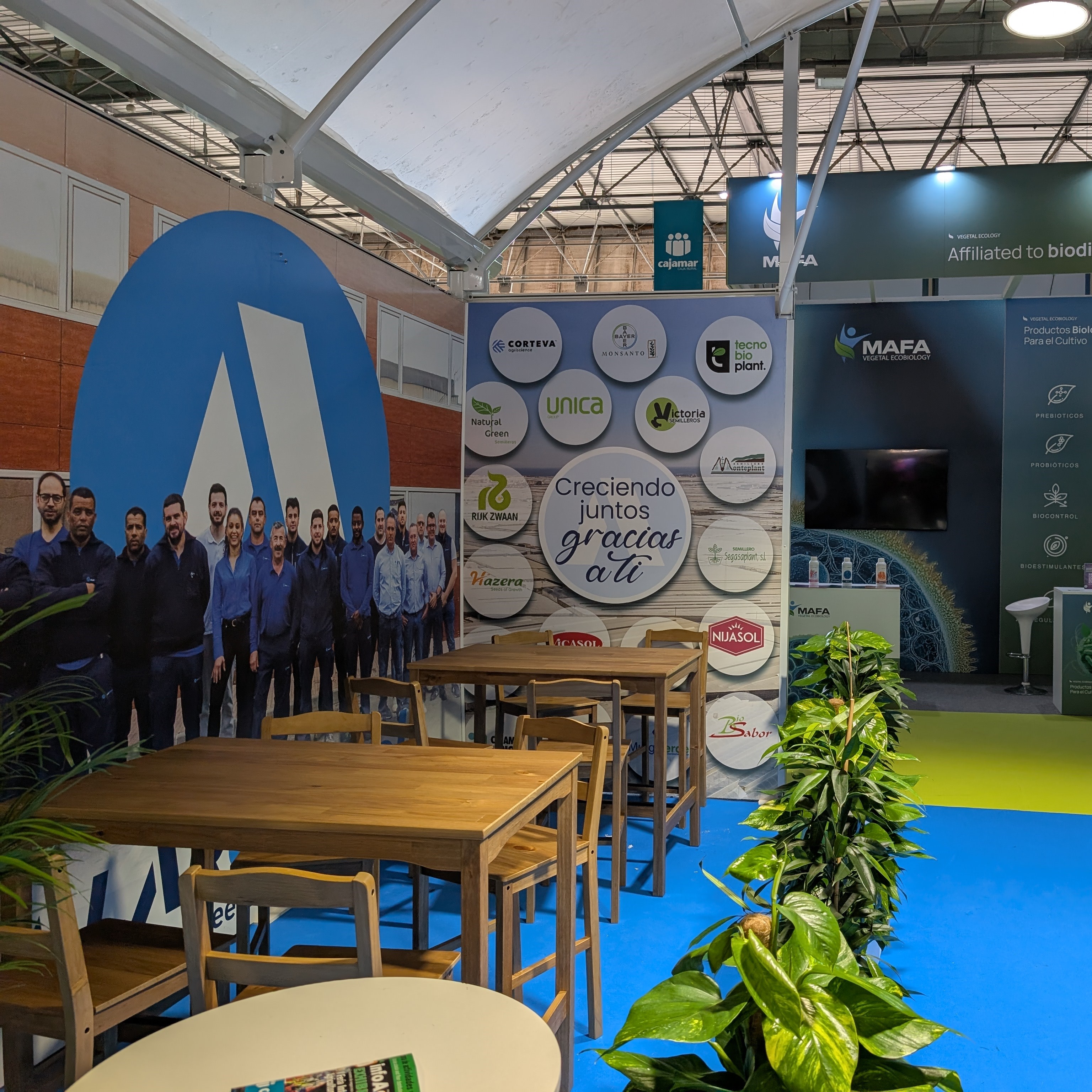 Stand con pegasus 10 mm